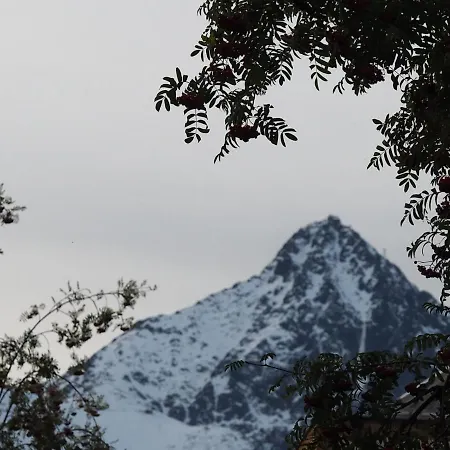 Hlboky Potok Διαμέρισμα *